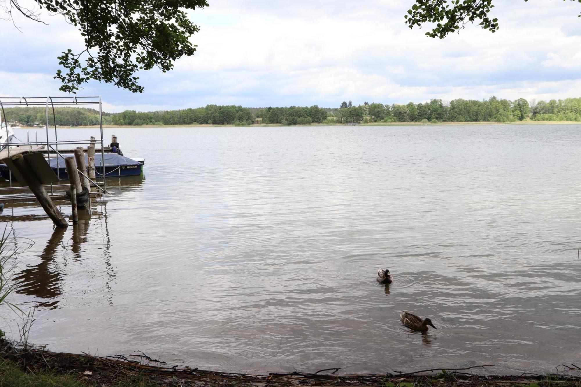 Ferienwohnung Habicht Villa-Paelitzsee Grosszerlang Екстер'єр фото